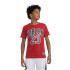 Camiseta Jordan Practice Flight Ss Niño Rojo