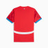 Camiseta de Futebol Puma República Checa 2024 Homem Vermelho