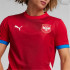 Camiseta de Futebol Puma Sérvia 2024 Homem Vermelho