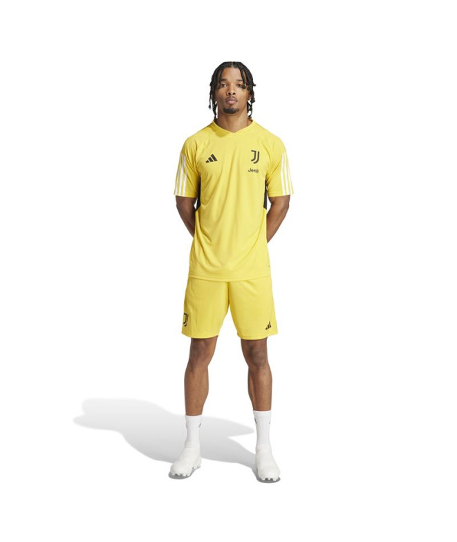 Pantalons Football adidas Homme de Juventus Yellow