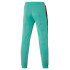 Pantalones de Fitness Mizuno Release Sweat Verde Hombre