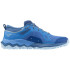 Chaussures par Trail Mizuno Wave Ibuki 4 Gtx Femme Bleu