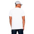 Camiseta New Era Homem Miami Dolphins NFL Regular Branco