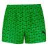 Bañador de Puma Logo Print 1P Hombre Verde