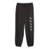 Pantalons Puma X Ripndip Homme Noir
