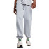 Pantalons Puma CLASSICS+ Gris Homme