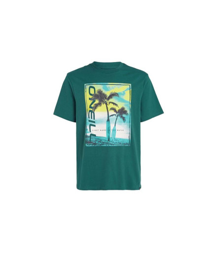 T-shirt O'Neill Jack Neon Living Vert Homme