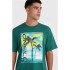 T-shirt O'Neill Jack Neon Living Vert Homme