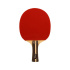 Raquette de ping-pong Softee P700