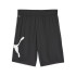 Pantalon Puma Train All Day Big Homme