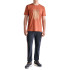 Camiseta Astore Levi Laranja torrada Homem