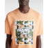 Camiseta Vans Caixa Classic Print Coral Homem