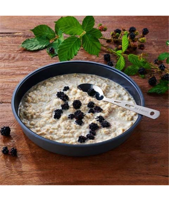 Gachas de Avena Trek'n Eat