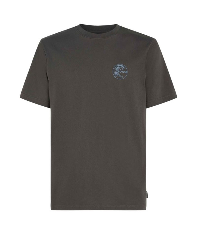 Camiseta O'Neill O'riginals Sun Gris Hombre