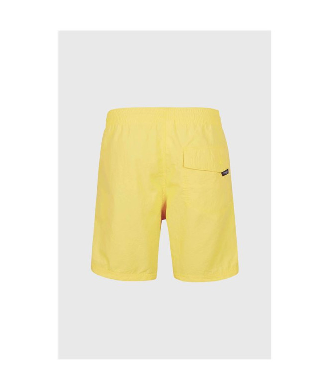 Bañador de playa y piscina O'Neill Vert 16''...