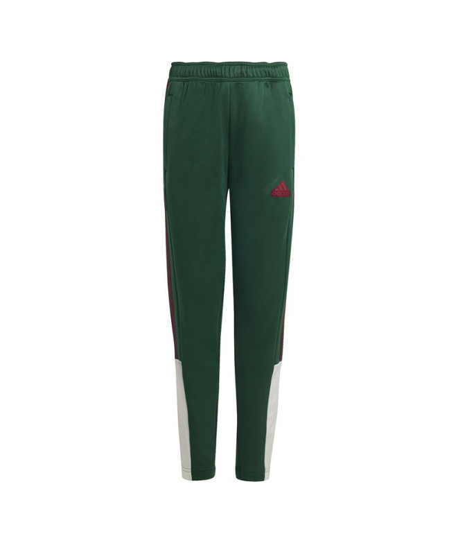 Pantalones adidas Tiro Nations Pack Infantil Verde