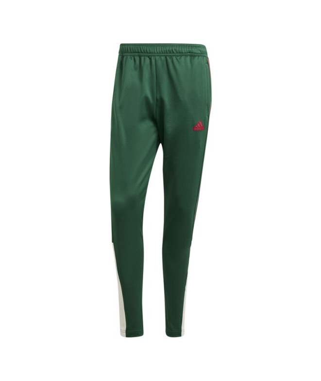 Calça adidas Pack Homem Tiro Nations Verde