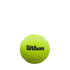 Bolas de pádel Wilson Premier 3 Ball