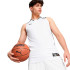 Camiseta de Baloncesto Puma Hoops Team Game Hombre