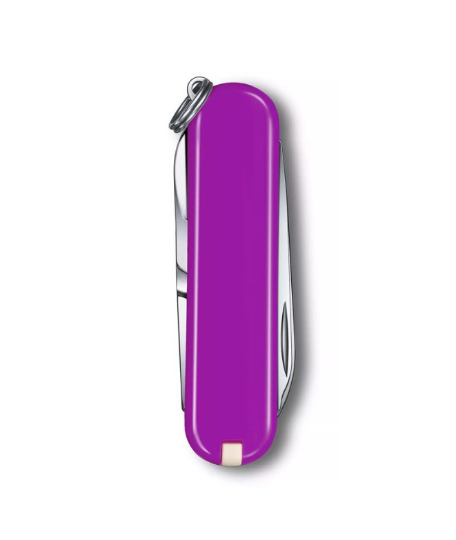 Navaja Victorinox Classic sd Cores Roxo
