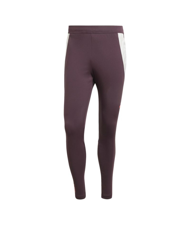 Pantalón de Fútbol adidas Fc Bayern 24/25 Tiro24 Training Hombre Marrón