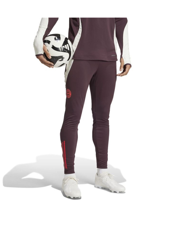 Calça Futebol adidas Homem de Fc Bayern 24/25...