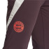 Calça Futebol adidas Homem de Fc Bayern 24/25 Tiro24 Training Castanho