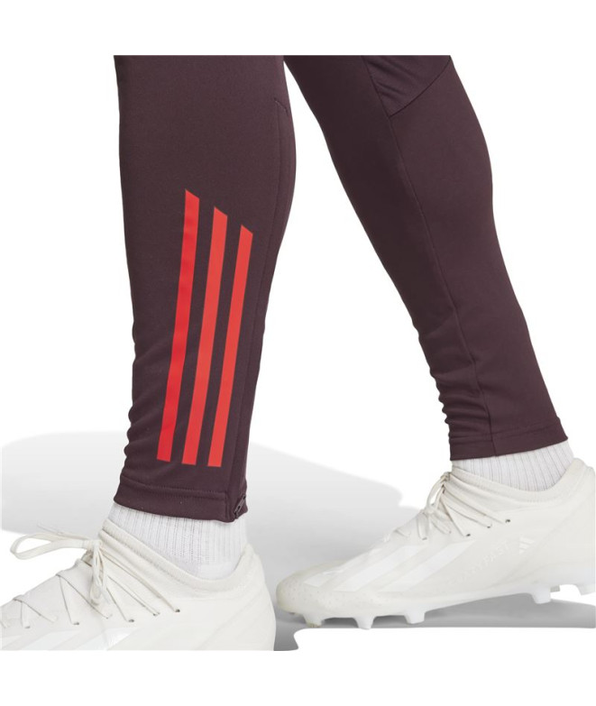 Calça Futebol adidas Homem de Fc Bayern 24/25...