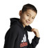 Sudadera adidas Essentials 2 Colored Big Logo Cotton  Infantil Negro