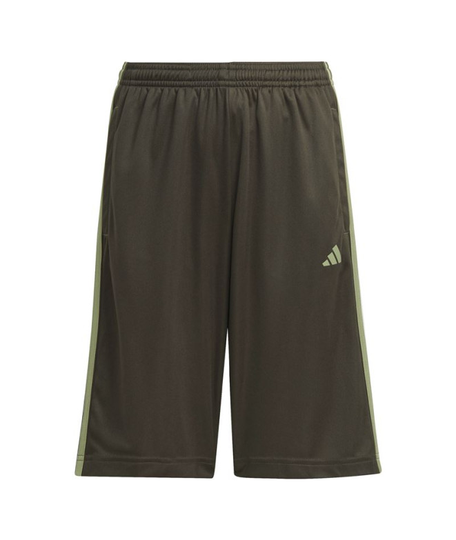 Calça adidas Infantil Train Essentials Aeroready 3-Stripes Verde Oliva