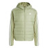 Chaqueta de Montaña Essentials 3 Bandas Insular hybrid Hombre Verde