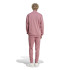 adidas French Terry Homem Fato de treino Sportswear Basic 3-Stripes Rosa