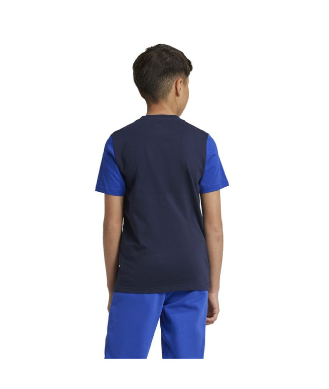 Camiseta adidas Essentials Big Logo Colorblock...