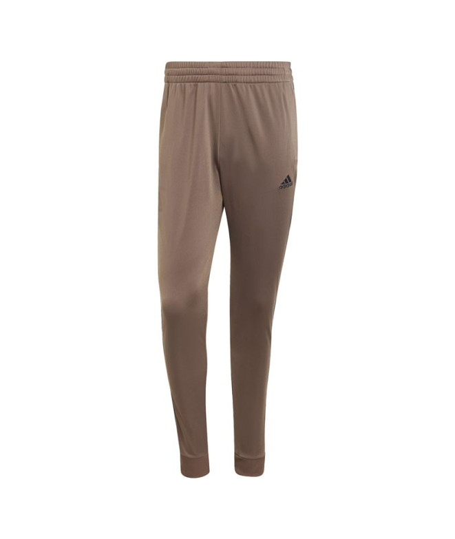 Survêtement adidas Homme Sportswear Basic 3...