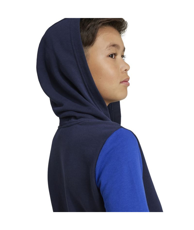 Sudadera adidas Essentials Big Logo Colorblock...