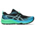 Zapatillas de Trail ASICS Gel-Trabuco 12 Hombre Negro