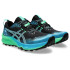 Zapatillas de Trail ASICS Gel-Trabuco 12 Hombre Negro
