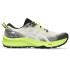 Zapatillas de Trail ASICS Gel-Trabuco 12 Hombre Beige