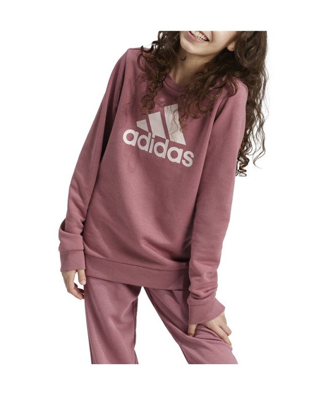 Sudadera adidas Essentials Big Logo Cotton Niña...