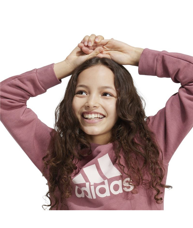 Sudadera adidas Essentials Big Logo Cotton Niña...