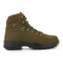 Sapatilhas de Montanha Chiruca Troféu 01 Gore-Tex Mulher Verde