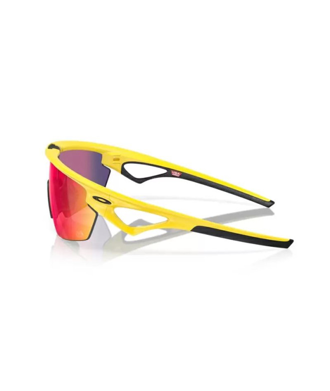 Lunettes de soleil Cyclisme de Oakley Sphaera...