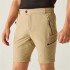 Calça Regatta Homem Highton Z/O Bege