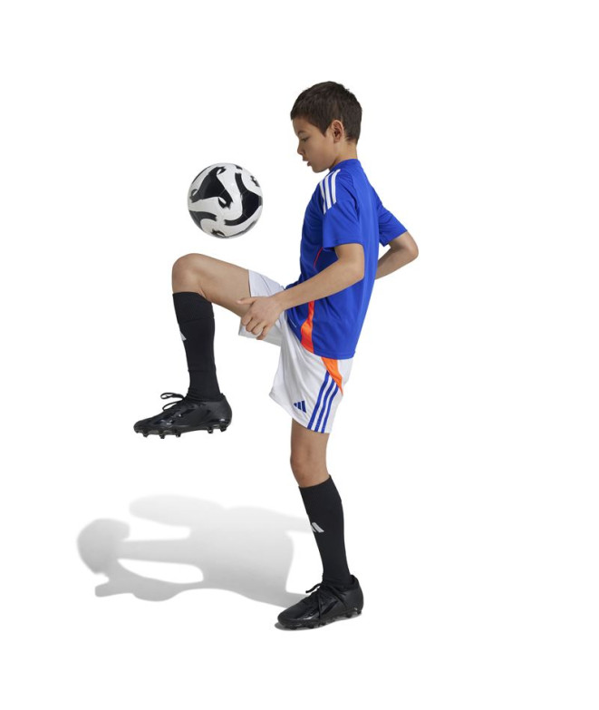 Pantalones de Fútbol adidas Tiro24 Training...