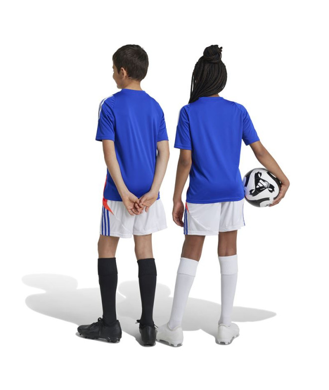 Pantalones de Fútbol adidas Tiro24 Training...