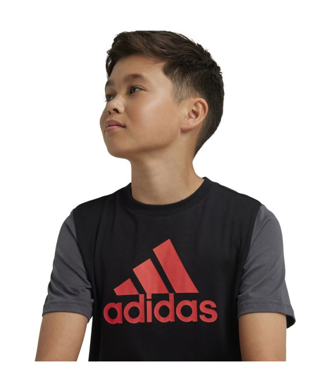 Camiseta adidas Essentials Big Logo Colorblock...