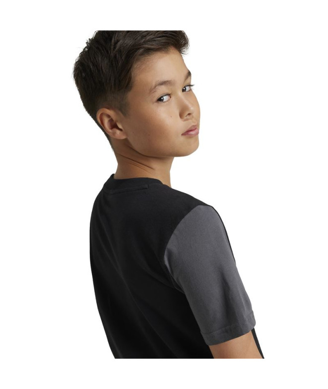 Camiseta adidas Essentials Big Logo Colorblock...