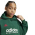 Moletom adidas Pack Infantil Tiro Nations Verde