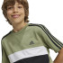 Camiseta adidas Infantil Tiberio 3 Band Colorblock Verde