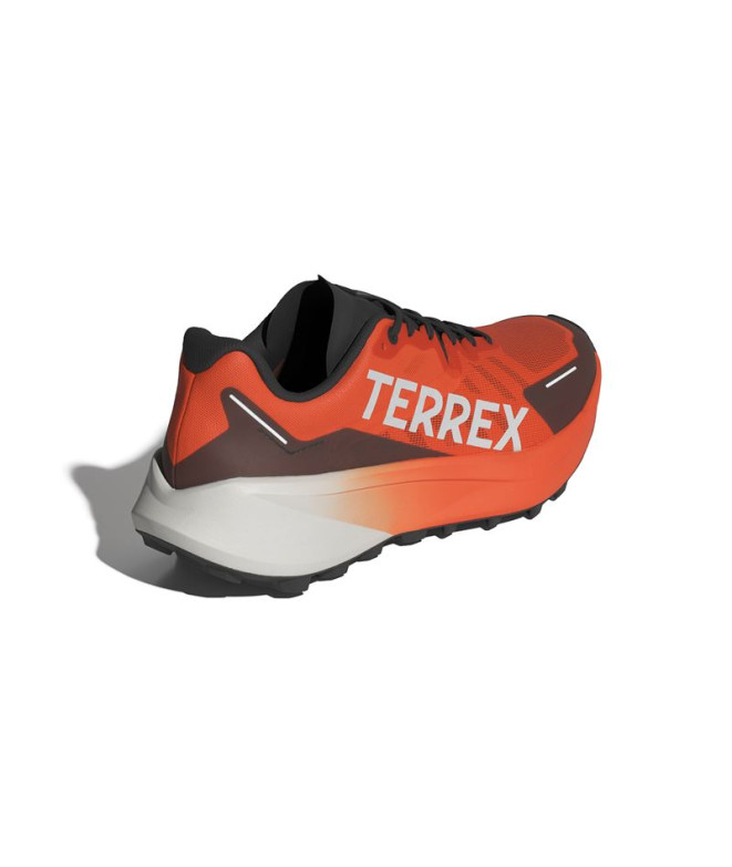 Chaussures de Trail adidas Terrex Agravic 3...